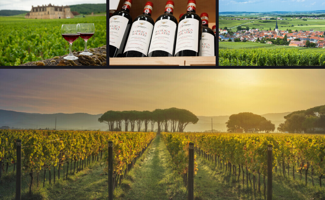 Knight-Frank-Wealth-Report-Barolo-oder-doch-Champagne-Das-sind-die-teuersten-Weinlagen-der-Welt