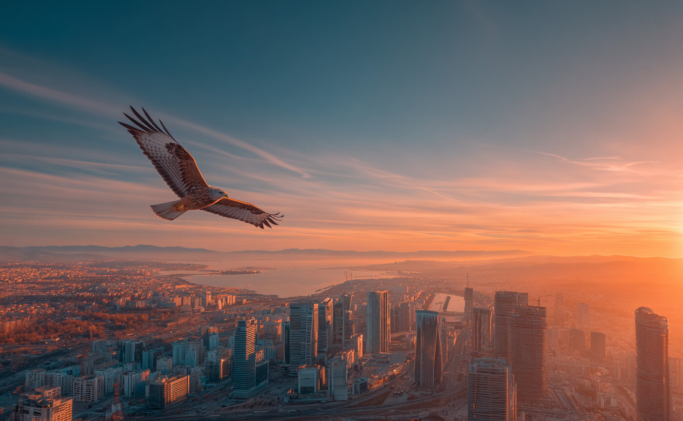 Fonds-der-Woche-Adlerperspektive-auf-den-Markt