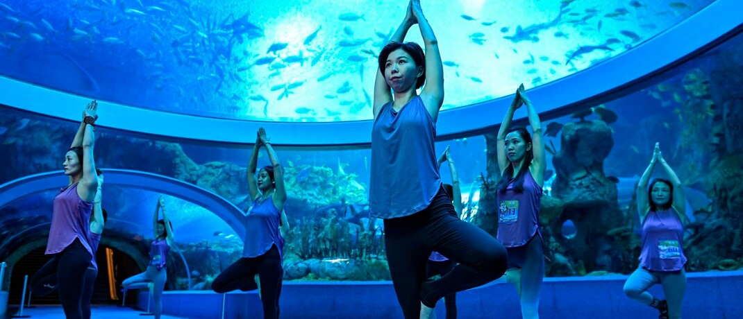 Yoga-Kurs im Ozeanarium des Zhuhai Chimalong Ocean Kingdom, China